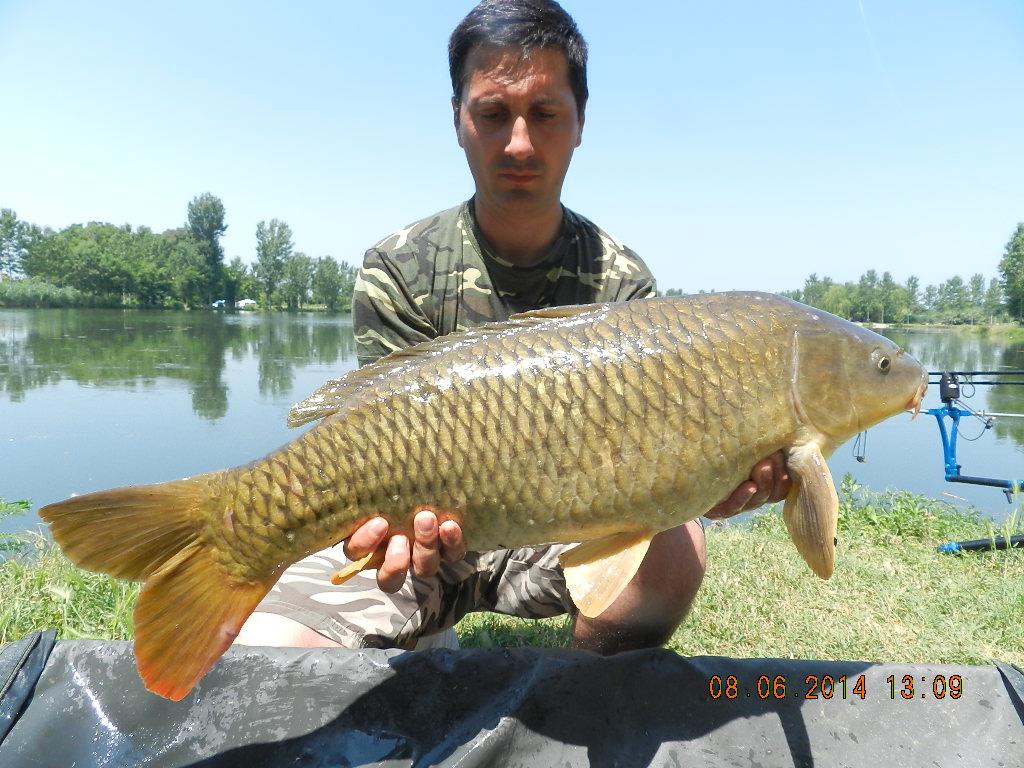 marginal fishing - dscn2684.JPG